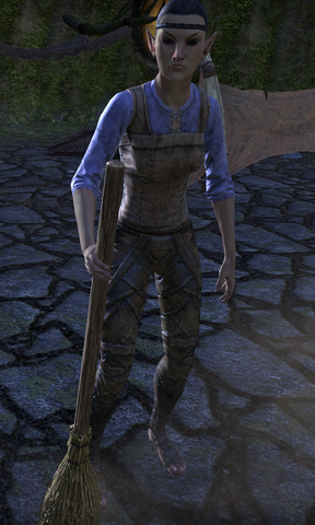 File:Dondrothel.png