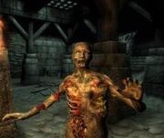 Elderscroll4zombie.jpg