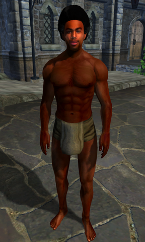 File:TESIV Test Kurz Redguard.png