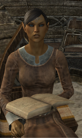 File:Coinclerk Arawe.png