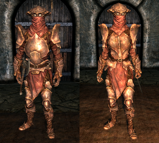 File:Heavy Chitin Armor - Both.png