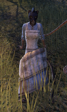 File:Oonama.png
