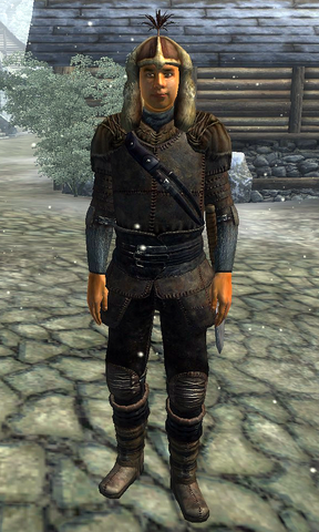 File:Bruma Militia.png