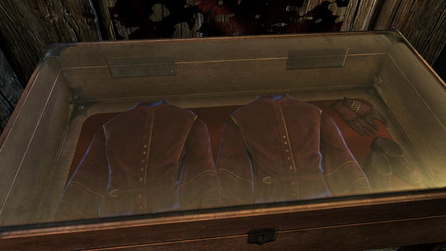 File:MythicDawnClothesDisplayCase.png