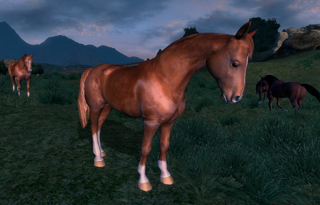 File:Wild Chestnut Horse.png