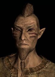 SR-race-M-Bosmer.jpg