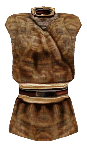 File:ShirtCommon02.png