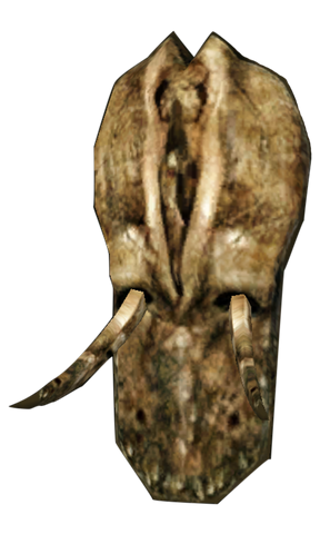 File:BonemoldtowershieldMorrowind.png