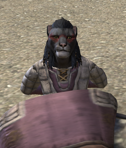 File:Apothecary Mizibir.png