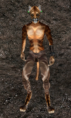 File:Bhusari.png