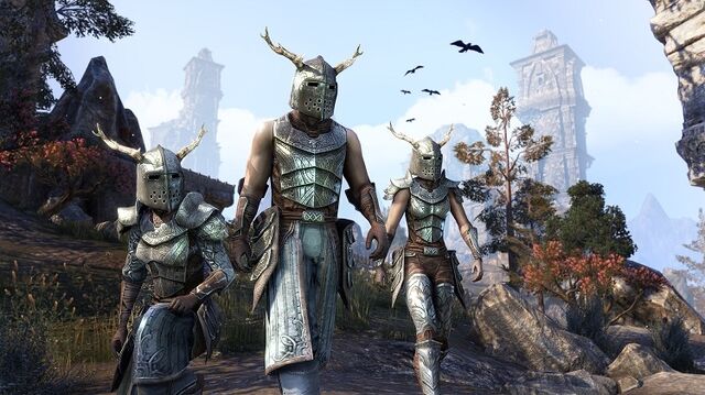 File:Nedic Armor Pack.jpg