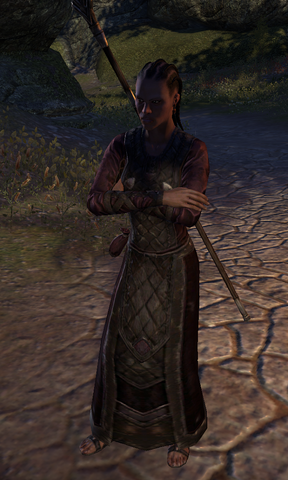 File:Sister Safia.png