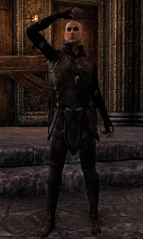 File:Lieutenant Hervarion.png