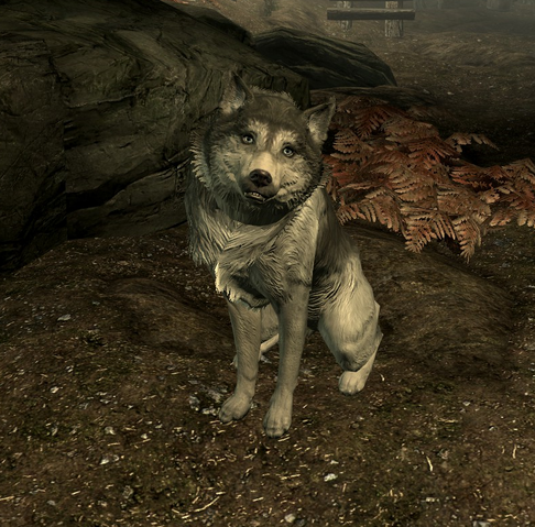 File:Husky.png