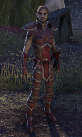 File:Redoran Soldier.png