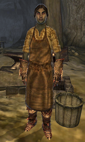 File:Armor Apprentice.png