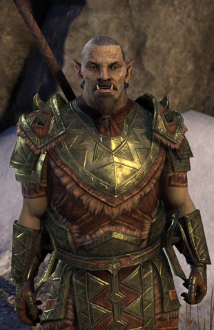 File:Invitation to Orsinium 5.png