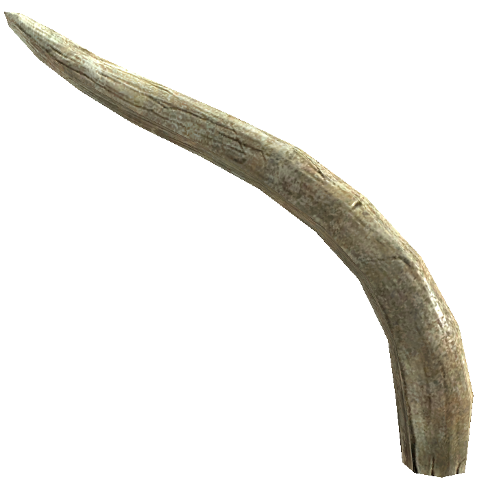 Mammoth Tusk Elder Scrolls FANDOM powered by Wikia