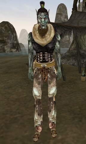 File:Salmat Elarrapal.png