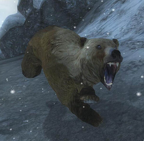 File:Bear.jpg