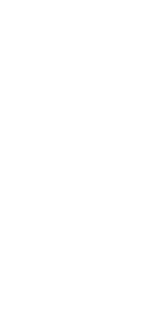 File:Dwemeris S.png