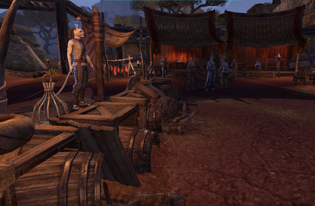 File:Lizard racing1.png