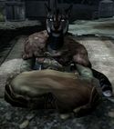 Ahkari.jpg