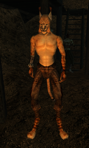 File:S'Raverr.png