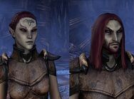 Dunmer (Online).jpg