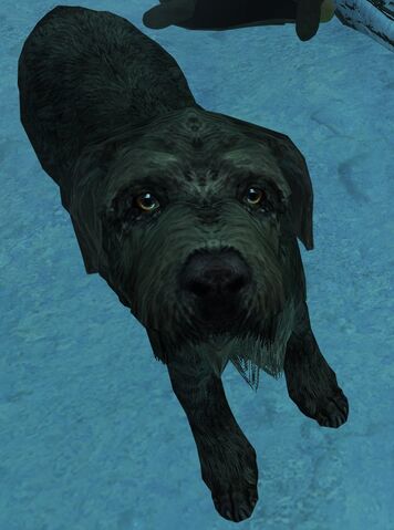 File:Barbas-Skyrim.jpg