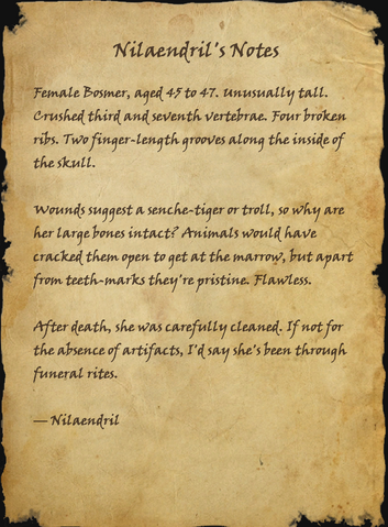 File:Nilaendril's Notes.png