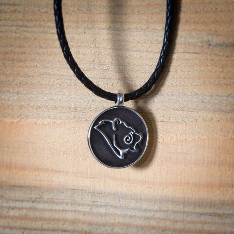 File:Etc-jewelry-es-stormcloakmedallion.jpg