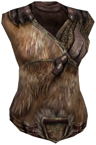 File:ShirtCommonNordic02F.png