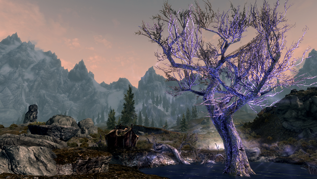 File:TESV The Sleeping Tree.png