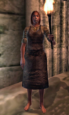 File:Forgemaster's Smock.png