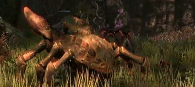Clatterclaw (Online).jpg