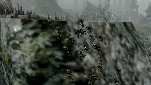 File:Ants Side View.png