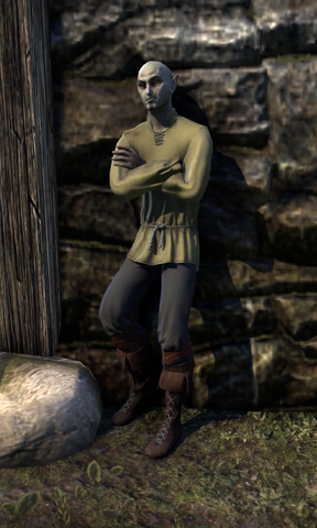 File:Boryn Andrilo.png