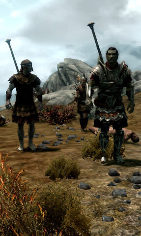 File:SkyrimSoldier.jpg
