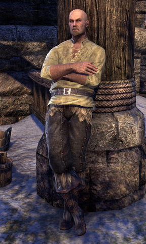 File:Bjaron Bitterblade.png