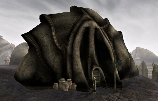 File:Ald'ruhn, Mages Guild.png