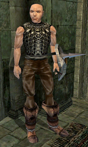 File:Briring.png