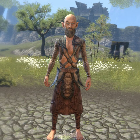 File:Robes of the Wilder.jpeg