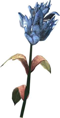 File:Blue mountain flower.png