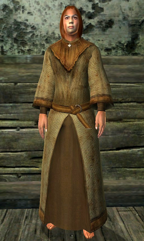 File:Robe of Warding.png