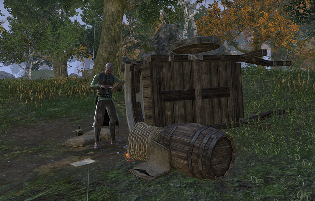 File:Trader KhnanyaWagon.png