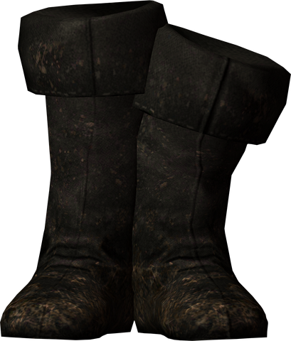 File:Fine boots 00086993.png
