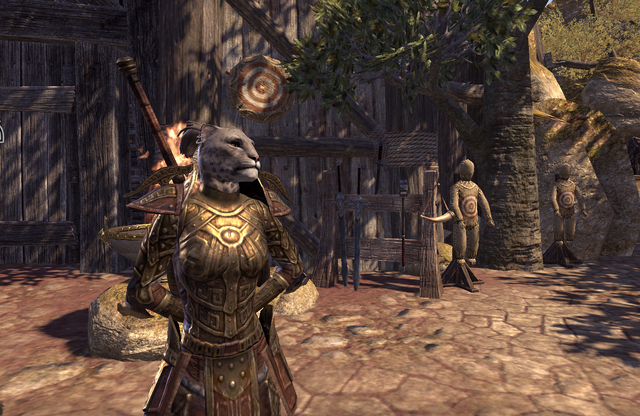 File:The swordmaster division1.png