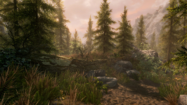 File:TESVSE Screenshot 4.png