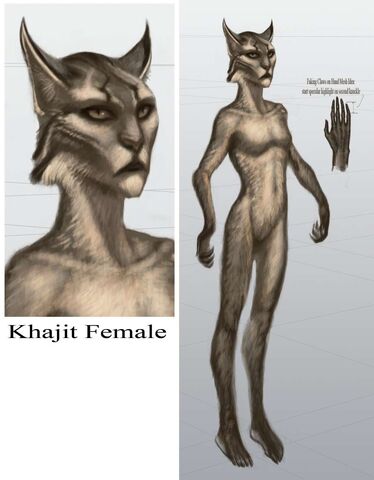 File:TESV Concept Khajiit Female.jpg